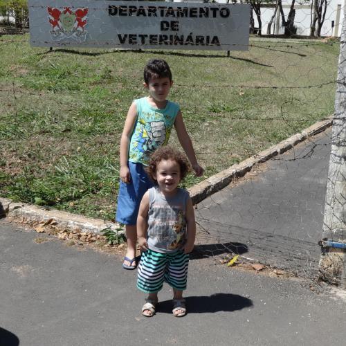 Universidade Federal de Viçosa - UFV - 2016